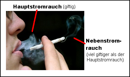 Hauptstromrauch einer Zigarette und ihre Giftigkeit Hauptstromrauch einer Zigarette und ihre Giftigkeit
